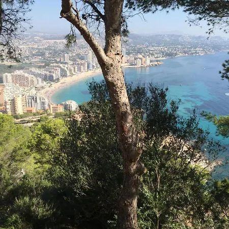 Mesana / First Line With Panoramic Sea View